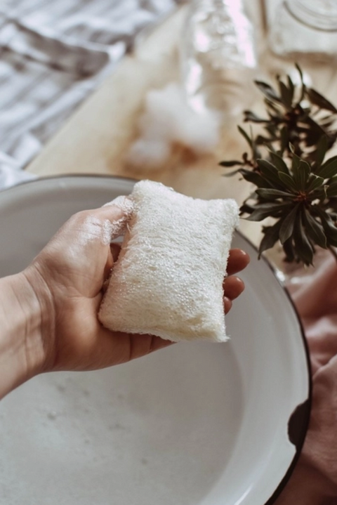 Kitchen Cleaning Essentials